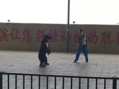 -东方熊牧场