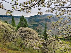 -舒家湾天主教堂