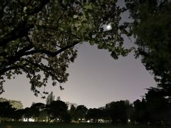 -钓鱼台国宾馆