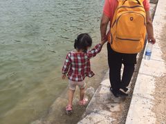 -济南国际园博园