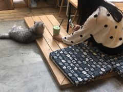 -拾壹cafe·工作室