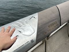 -星光大道