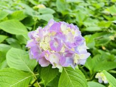 -惠山国家森林公园
