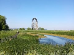 -太湖湖滨国家湿地公园-停车场