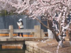-三里河公园
