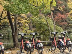 -北海道厅旧本厅舍(旧本庁舎)