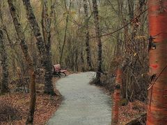 -叠溪松坪沟景区