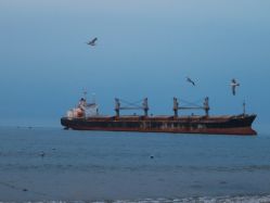 -巴黎春天·菀纱仙庭婚纱美学