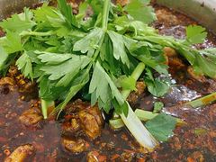 招牌红烧兔-温江公平红烧兔(总店)