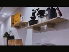 -楼上猫咖(罗湖店)