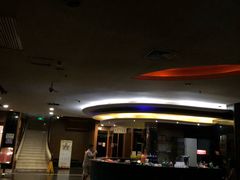 -海龙湾休闲水汇(鹅掌坦步行街店)