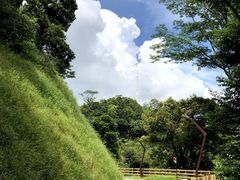-阳台山森林公园