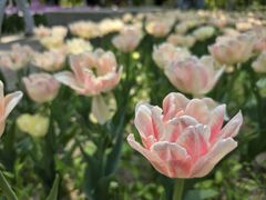 -朝阳公园