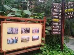 -龙达温泉生态城