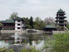 -桂湖森林公园
