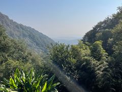 -韬光茶庵
