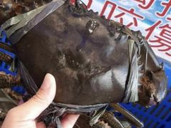 -旅南活海鲜-屏东(墾丁海鮮，海鮮餐廳，墾丁團體合菜，平價熱炒，墾丁熱炒店，活海鮮推薦，在地海鮮餐廳)