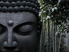 -杭州植物园