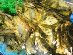 -V-ONE西雅图海鲜自助餐厅(仓山万达广场店)