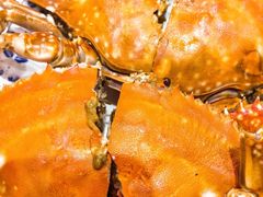 -北塘海鲜·天津菜(大光明桥旗舰店)