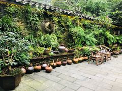 -青城甲(青城山店)