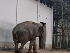 -合肥野生动物园