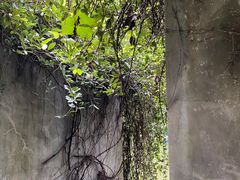 -燕晗山郊野公园