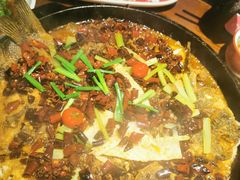 老板恋上鱼-老板恋上鱼(高新万达店)
