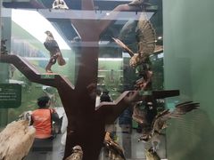 -国家自然博物馆