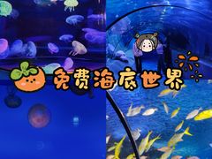 -太平洋海底世界