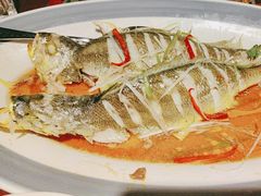 -前海沿·青岛菜(五四广场永旺店)