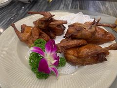 -鸽鸟轩(石岐店)