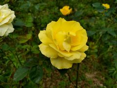 -镇坪县曙坪小学