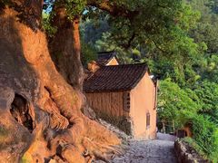 -杨家堂村