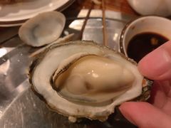 -土蚝·高压锅生蚝(百姓美食街店)