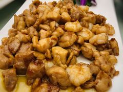 -丁老爷子苏香圆