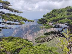 -黄山风景区