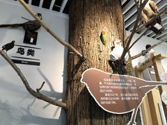 -浙江自然博物院(杭州馆)
