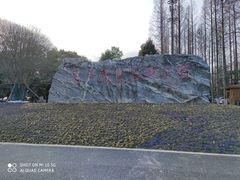 -东平国家森林公园