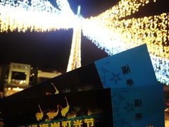 -巨鹏飞梦幻海岸