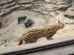 -杭州野生动物世界
