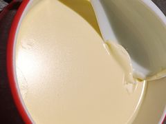 特惠奶皮子酸奶-北平盛世·新京菜·北京烤鸭(劲松·双井店)