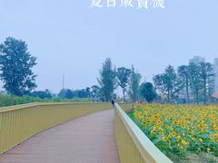 -永康森林公园