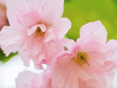 -云峰山自然风景区