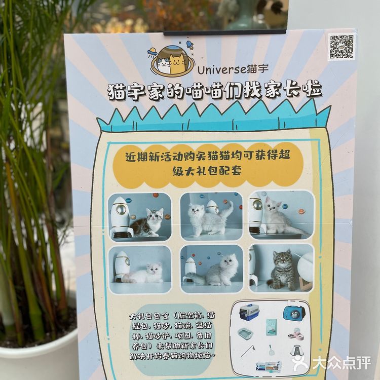 Universe猫宇 | 天河靠谱猫舍‼️