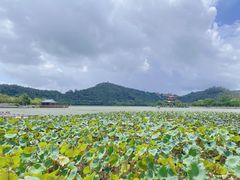 -顺峰山公园