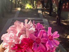 -石岛赤山风景区