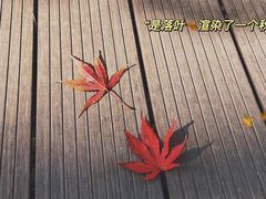 -崂山巨峰游览区