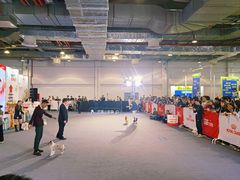 -东浩兰生上海世博展览馆