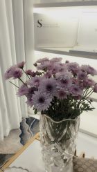 -菩羽·专业美胸·连锁养护中心